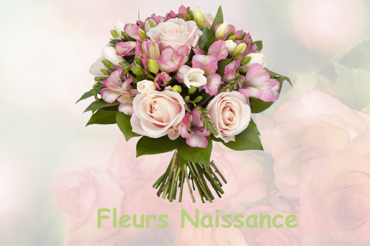 fleurs naissance LACROIX-SUR-MEUSE