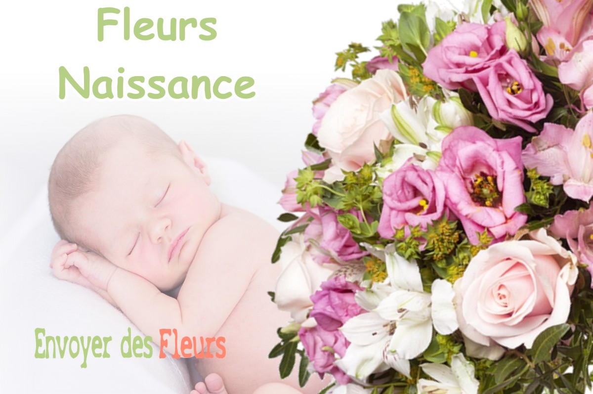 lIVRAISON FLEURS NAISSANCE à LACROIX-SUR-MEUSE